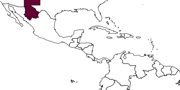 map of Agathirsia minuata     Pucci & Sharkey, 2004